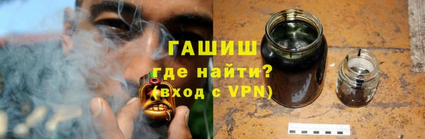 прущие грибы Алзамай