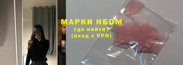 прущие грибы Алзамай