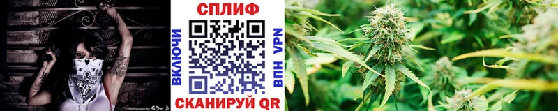 Шишки марихуана VHQ  Кореновск 
